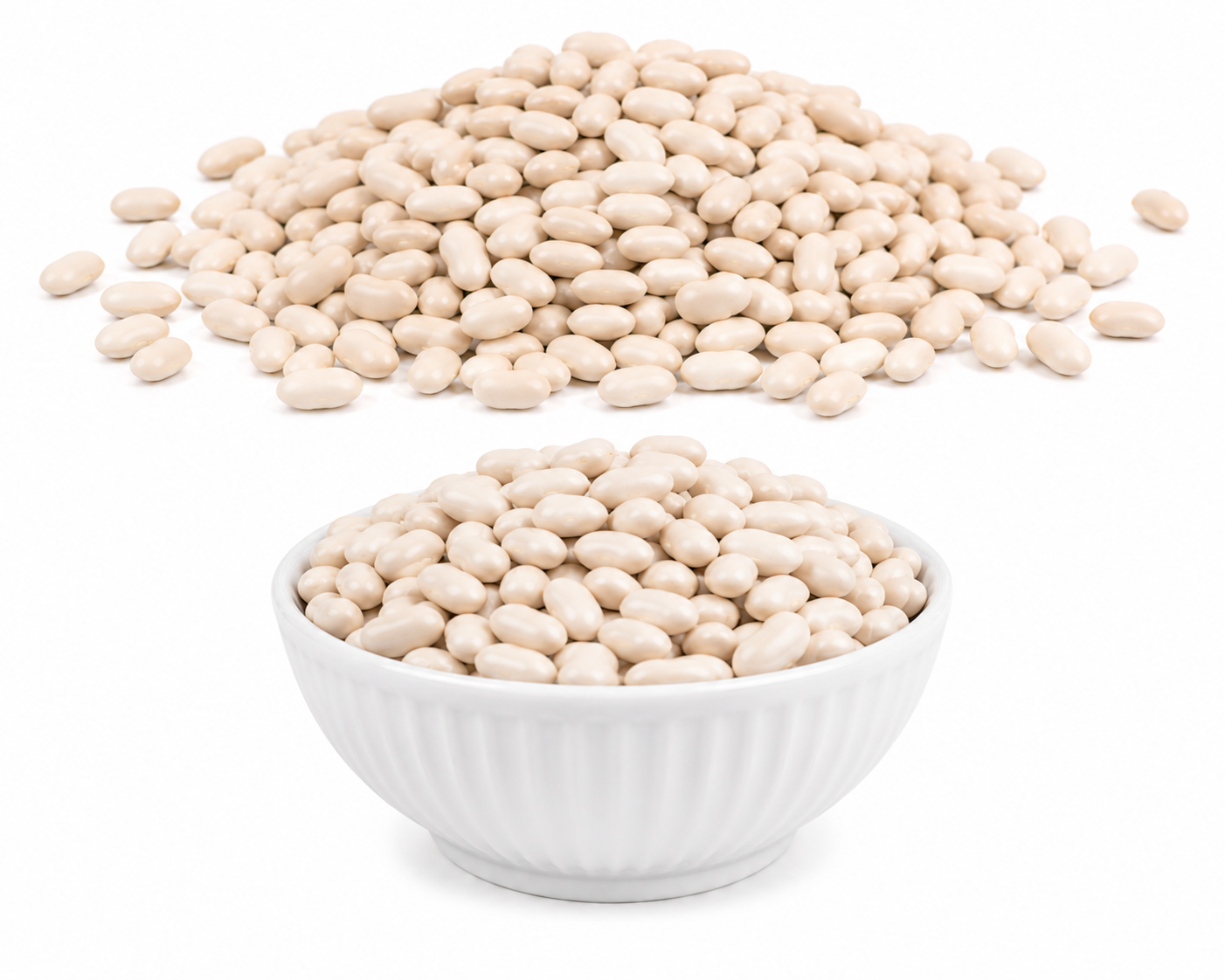 White Lobia 250 Gram سفید لوبیا