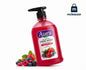 Aura Anti Bacterial Wild Breeze Hand Wash 500ml